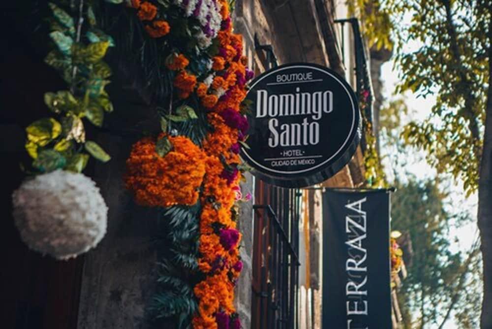 Domingo Santo Hotel Boutique Città del Messico Esterno foto